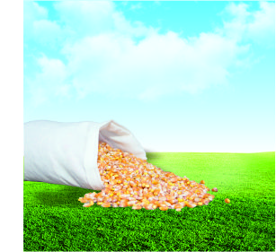 飼料檢測項(xiàng)目